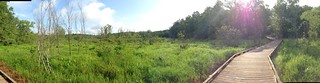 Swamp Rabbit Trail Panorama