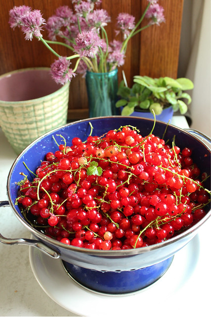 red currants.