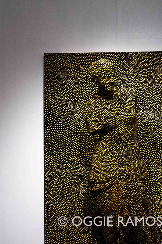 Ayala Kusama Exhibit - Venus Obliterated