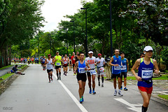 Singapore Marathon 2013