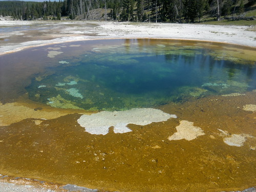 Martes Día 23 de Julio: Yellowstone (II) - 25 días por los parques nacionales del Oeste de USA: un Road Trip de 10500 kms (19)