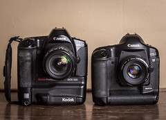 Kodak DCS 520 (1998) /  Canon 1D Mark II N (2005)