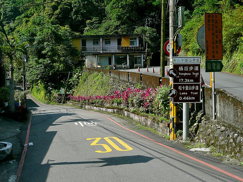 Road to the Tonghou Trail (桶后步道)