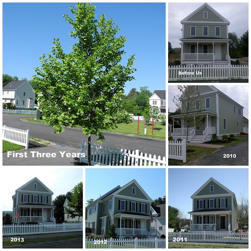 House Collage Three Years with Dates by midgefrazel