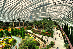 2013-09 Singapore Flower/Cloud Dome