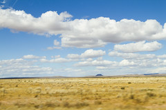 New Mexico  Prairie