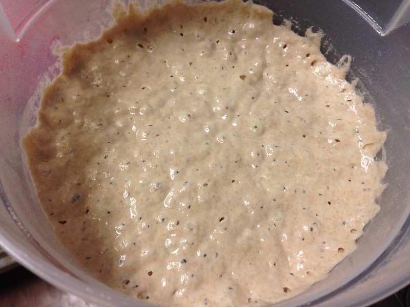 20 hour old leaven