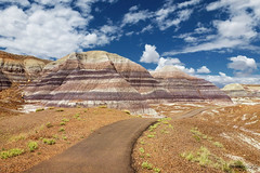 Petrified Forest and Painted Desert National Park (Arizona)