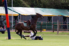HAC polo event 2013