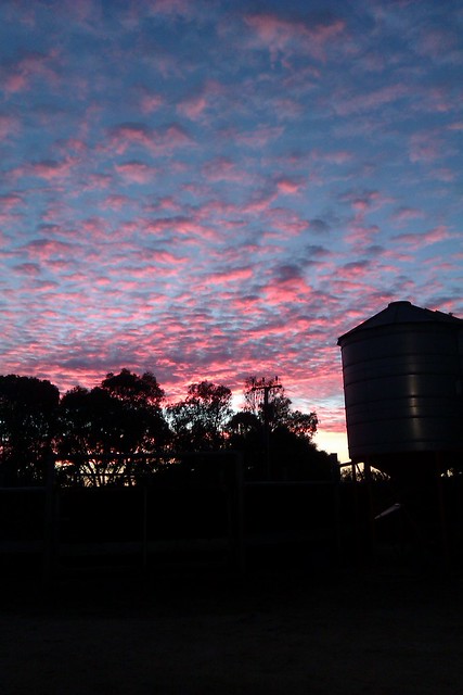South Australian Sunrise Clouds