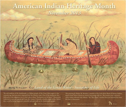 Artist Shirley M. Brauker painted this poster, titled “Gathering Wild Rice,” which depicts three women in a canoe harvesting wild rice. NRCS photo.