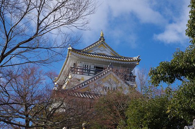Gifu Castle 20131222