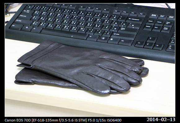 20140213_Gloves