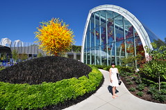 Alki, Chihuly Garden and Glass, Burke Museum, 14 July 2013