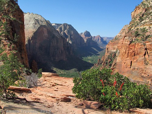 View from Angel's Landing, about 1/4 of the way up, Zion National Park, Utah