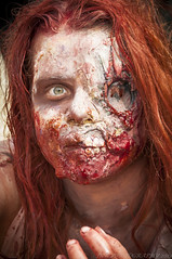 Zombies & Halloween 