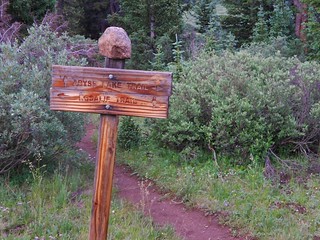 Confusing Trail Sign