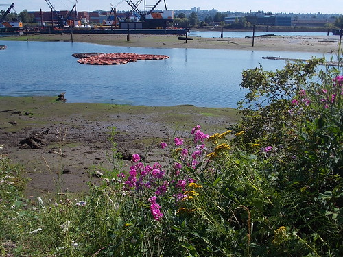 Another view of the Duwamish River
