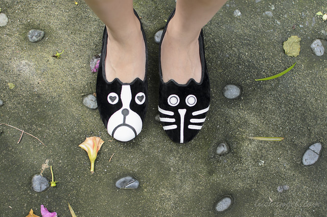 dog-cat-shoes