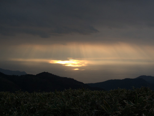 達磨山からは夕日が綺麗に見えました