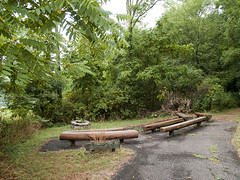 The Wilderness Center 07-28-2012