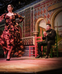 Flamenco Dance - In Motion