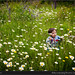 Baby enjoying flowers, Los Alerces park, Patagonia