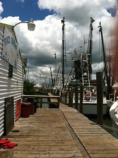 Shrimp Boats Docked Near TRICO Shrimp Company on San Carlos Island, Florida
