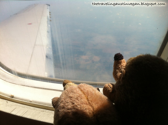 Hedgehogs on a Plane