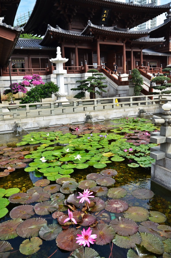 Lotus Pond & Chi Lin Nunnery