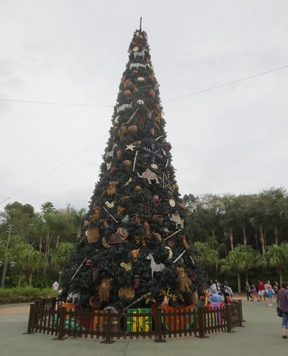 Giant tree at Animal Kingdom