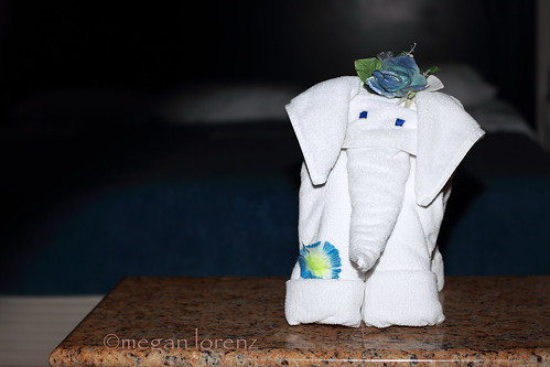 Elephants In Aruba by Megan Lorenz