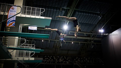 PSV Master Diving Cup 2017