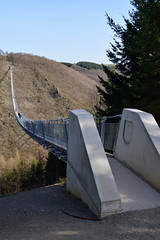 Geierlay-Hängebrücke