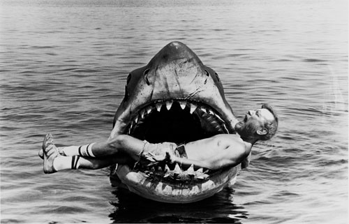 Shark Syllabus starring Jim Groom