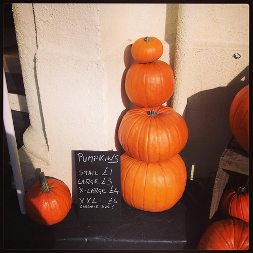 Pumpkins for sale by PhotoPuddle