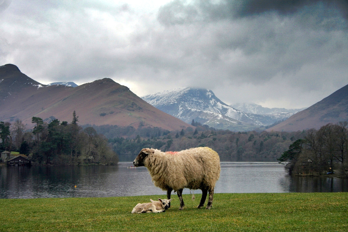 Lake District. Credit Jim Barter, flickr