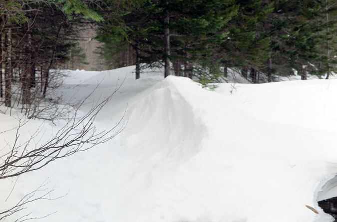 Signal Ridge Trail Snow