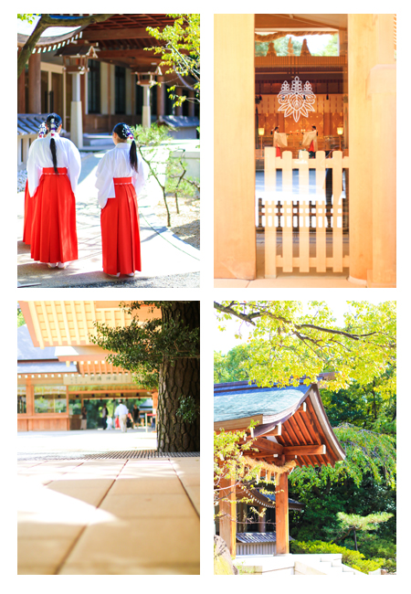 七五三写真　七五三撮影　熱田神宮　名古屋市　神社　出張撮影　おしゃれ　自然　データ納品　着物　和装