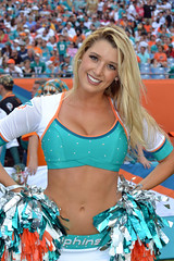 Dolphins v Panthers 2013