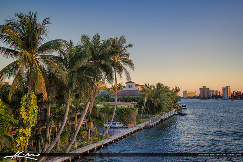 Boca Raton Palm Tree Over Waterway Boca Lake by KimSengPhotography