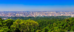 São Paulo - Parque da Cantareira