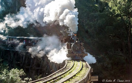 Puffing Billy on the trestle bridge