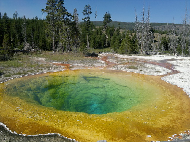 Martes Día 23 de Julio: Yellowstone (II) - 25 días por los parques nacionales del Oeste de USA: un Road Trip de 10500 kms (27)