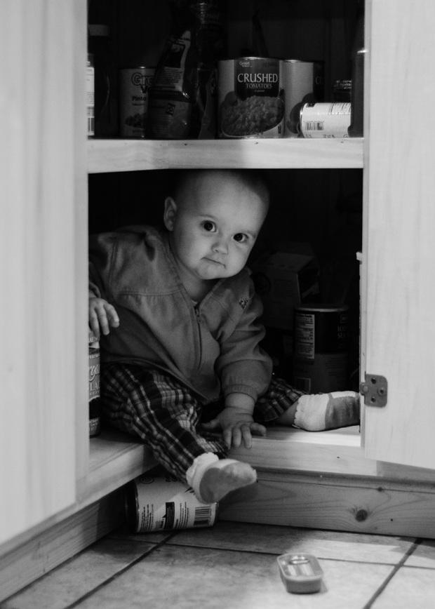 Caught in the Cupboard