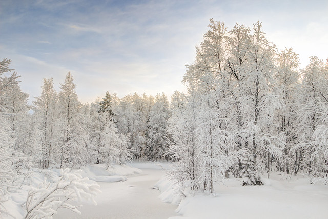 Things to do in Lapland
