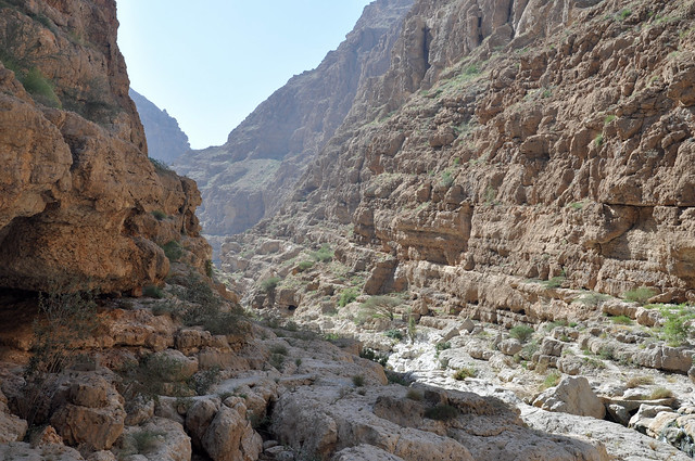 Wadi Shab (11)