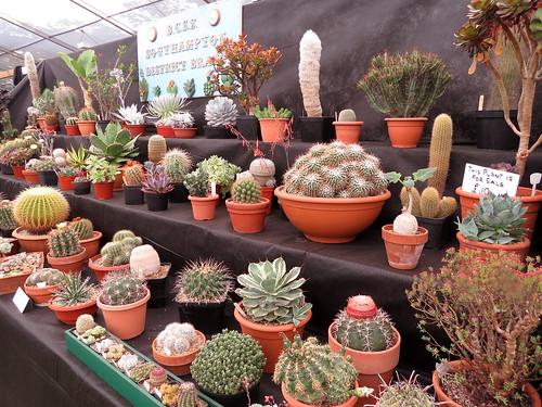 New Forest Show 2013 by Fritillaria meleagris