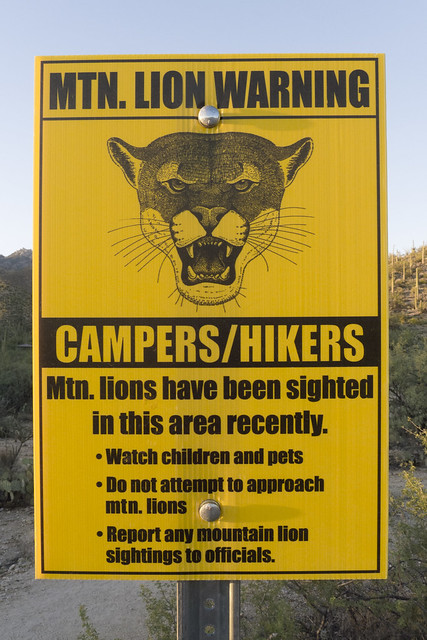 Mountain Lion warning!