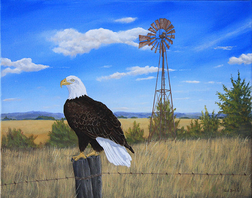 Bald Eagle by Sid's art
